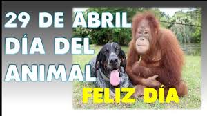 Cada 29 de abril se celebra el día del animal en argentina. 29 De Abril Dia Del Animal En Argentina 2021 Youtube