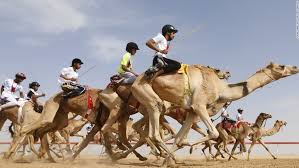 S) can be found in english words such as said, sad, sit, box, bus. Camel Racing The Multi Million Dollar Industry Mixing Modernity And Tradition Cnn