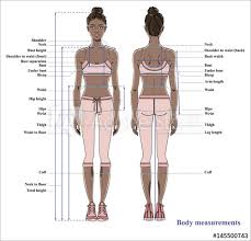 Mybodygallery is changing the way women see themselves one photograph at a time. Woman Body Measurement Chart Scheme For Measurement Human Body For Sewing Clothes Female Figure Front And Back Views Young African American Woman Vector Wall Mural Alina