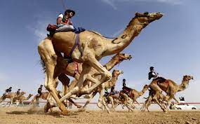 Alien hunters detect mysterious radio signal from nearby star. 8 Not To Miss Experiences In Abu Dhabi Travelanders Com