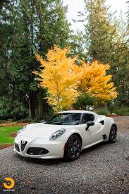 Image result for Bianco 2015 Alfa-Romeo