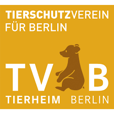 250 tiere in not ein neues zuhause. Tierschutzverein Fur Berlin U Umgebung Corp E V Spende Fur Unsere Organisation Betterplace Org