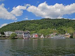 Excerpt from private concert at a vineyard above the river moselle, part of the concert series bitte nicht fuettern (i. Bullay Mosel Juli 2020 Onnola Foto