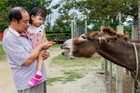 Selamat hari keluarga nasional (harganas), kawan! 7 Cara Seru Meriahkan Hari Keluarga Nasional