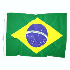 Uma galera que se diz patriota, mas que odeia as nossas florestas, os nossos índios, o nosso povo e as nossas empresas. Bandeira Do Brasil Oficial Bordada