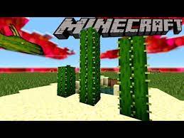The growth rate that i used for the prediction was found here. 0 Tick Cactus Unlimited Xp Farm In Minecraft 1 15 Youtube