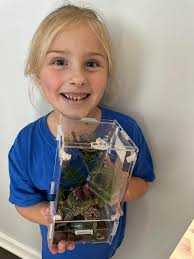 Can anyone identify the jumping spider species?