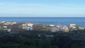 Image result for Alinula peteri