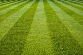 Major league lawn care l l c. How To Stripe A Lawn In 6 Steps Wikilawn