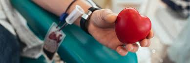 Das blut wird anschließend untersucht, aufbereitet und für medizinische, wissenschaftliche und pharmazeutische zwecke verwendet. Blutspende Drk Kreisverband Meiningen E V
