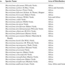 Image result for Macrotyloma ellipticum