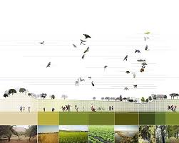 Tom Leader Studio Landscape Architecture Peyzaj Mimarisi Peyzaj Mimari Tasarim