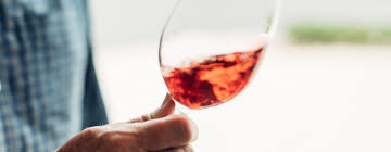 Domestic Impact Of Covid 19 And How Wine Businesses Are Adapting Wine Australia