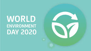 World environment day 2020, images, quotes, slogan. World Environment Day How To Lighten The Load On The Planet