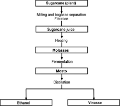 sugarcane flowchart 2019