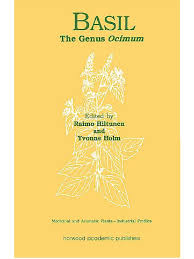 Image result for Ocimum urundense