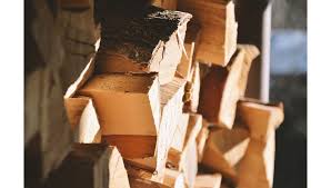 Birch is the best choice since it is soft and effortless to use. Which Firewood Is Best To Burn In A Fireplace Firewood And Logs