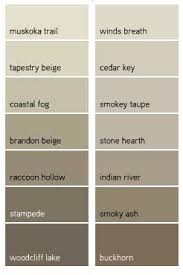 Benjamin Moore Favorite Taupes Raccoon Hollow Indian