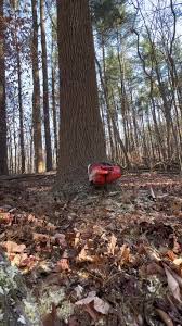 Husky power #logger #loggertok #ohiologger #fyp #fypシ