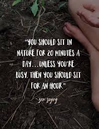 Sit In Nature In 2020 Nature Quotes Cool Words Zen Quotes