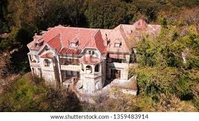 The area is a densely wooded southeast. Shutterstock Puzzlepix
