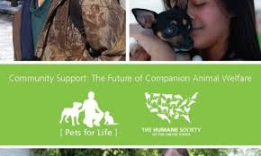 Maybe you would like to learn more about one of these? Pets For Life Animal Sheltering Online By The Humane Society Of The United States