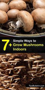 Inoculation for mushroom farming inoculation on a commercial mushroom farm varies depending on the substrate. 7 Simple Ways To Grow Mushrooms Indoors