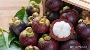 Khasiat kulit manggis sebagai obat penyakit liver juga dilengkapi dengan adanya kandungan daun sirsak yang memiliki khasiat hampir serupa dengan kulit manggis. 12 Manfaat Buah Manggis Untuk Kesehatan