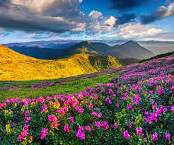 Mountains Azalea Scenery Sky Grass Clouds Nature Wallpaper 4200x3513 356607 Wallpaperup Mountain Landscape Scenery Wallpaper Backgrounds