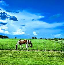 Country life cool country wallpapers. Hd Country Life Wallpapers Peakpx