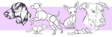 Draw one side of the body. How To Draw A Dog And Other Animals And Plants Wacom