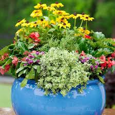 Container Garden Design Basics Shade Plants Container Container Garden Design Container Gardening