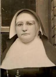 Land van Rode 40 (2012)