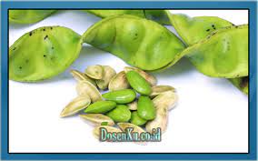 Check spelling or type a new query. 21 Arti Mimpi Tentang Buah Pete Menurut Ahli Tafsir Primbon