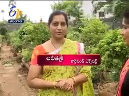 Plants can help making your. Shree Bonsai Nursery 2016 Telugu Youtube