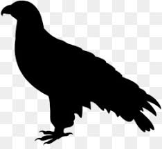 Eagle Logo I'm showing you how to. subpng