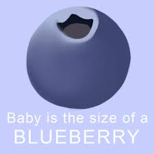 Pin On What Size Is My Baby