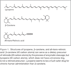 Larger clinical trials are necessary to definitively address potential uses of lycopene or tomato extract in the prevention or treatment of prostate cancer. Pdf Is Lycopene An Effective Agent For Preventing Prostate Cancer Semantic Scholar