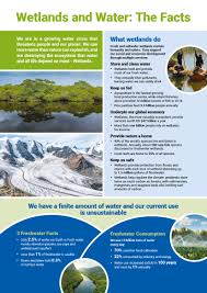 At the heart of earth day's 2021 theme, restore our earth, is optimism, a critically needed sentiment in a world ravaged by both climate change and the pandemic, said kathleen rogers, president of earthday.org. World Wetlands Day 2021 Geneva Environment Network