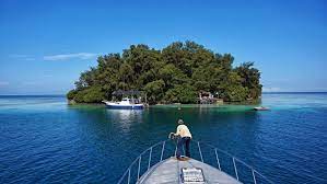 Day Trip To Tiger Island In Jakarta Day Trip Thousand Islands Trip