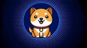 It comes with a large number of currency pairs and you even have the option to buy btc using your credit or debit card. Is Baby Doge Cryptocurrency Worth The Buy Or Is It A Short Lived Hype
