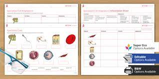 We did not find results for: Specialised Cells Ks3 Cells And Organisation Beyond