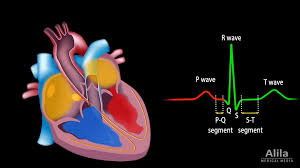 Image result for QRS Complex
