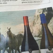 Who would have thought that the world's largest organic winery is from chile? Photos At Vina Santa Emiliana