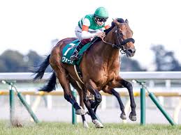 2021年02月14日 (日) 15時50分 東京11rの第55回 共同通信杯 (3歳・giii・芝1800m)は4番人気 エフフォーリア (横山武史騎手)が勝利した。 çšæœˆè³ž 13æ™‚æ™‚ç‚¹ã‚ªãƒƒã‚º ã‚¨ãƒ•ãƒ•ã‚©ãƒ¼ãƒªã‚¢ãŒå˜å‹3 6å€ã§1ç•ªäººæ°— ãƒ€ãƒŽãƒ³ã‚¶ã‚­ãƒƒãƒ‰ãŒ3 9å€ã§ç¶šã ç«¶é¦¬ãƒ‹ãƒ¥ãƒ¼ã‚¹ Netkeiba Com