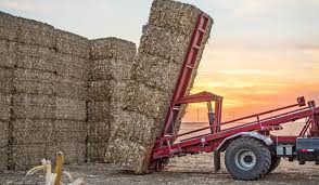 Fusarium stalk rot disease cycle. Turning Corn Stover Into Unique Pellet Cattle Feed Myfarmlife Com
