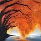 As Autumn Creeps In event image