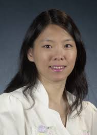 Wei Wang — The B. John Garrick Institute for the Risk Sciences