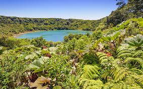 Στους τελευταίους 4 αγώνες της ομάδας κόστα ρίκα, μπήκαν λιγότερα από 2.5 γκολ (σε όλες τις διοργανώσεις). Kosta Rika O Paradeisos Twn Oikologwn Kai Ena Pagkosmio Paradeigma Fwtografies H Ka8hmerinh