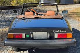 Image result for Avorio 1982 Alfa-Romeo
